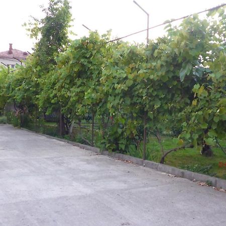 Guest House U Aleny Γκάγκρα Εξωτερικό φωτογραφία