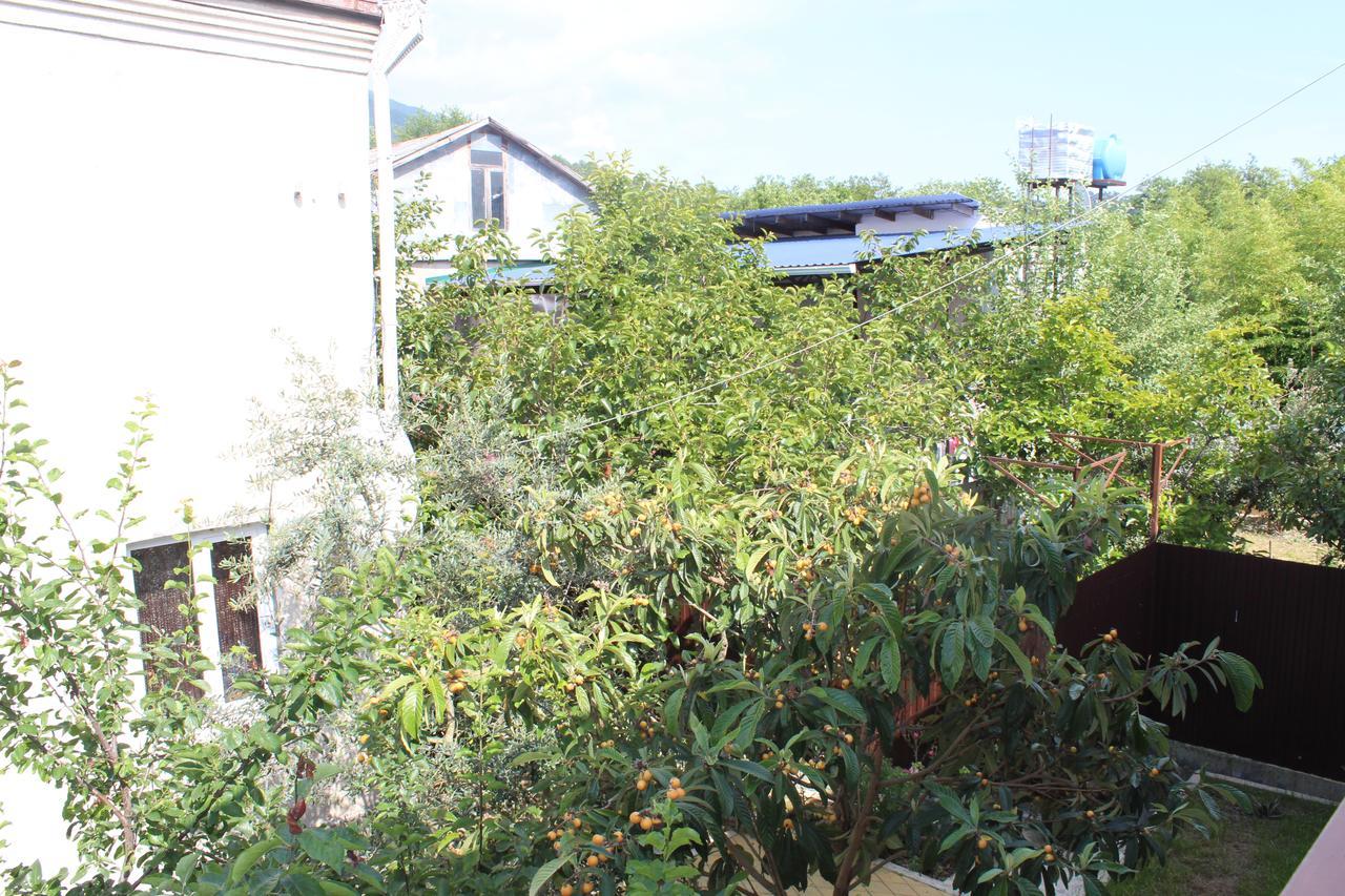 Guest House U Aleny Γκάγκρα Εξωτερικό φωτογραφία
